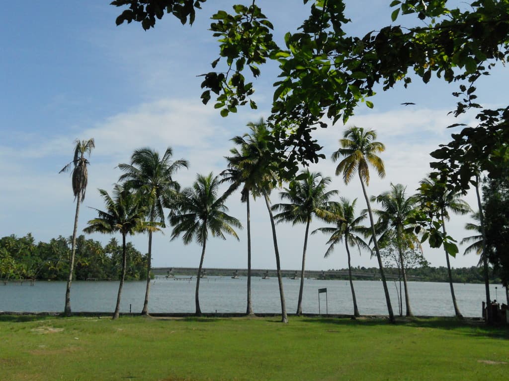 Kerala Backwaters & Spice Country